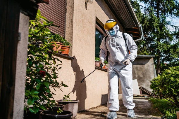 Reliable Fairmount, NY Pest Control Solutions