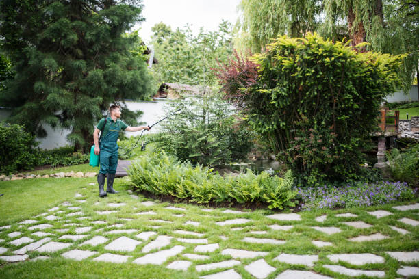 Best Pest Inspection Near Me  in Fairmount, NY