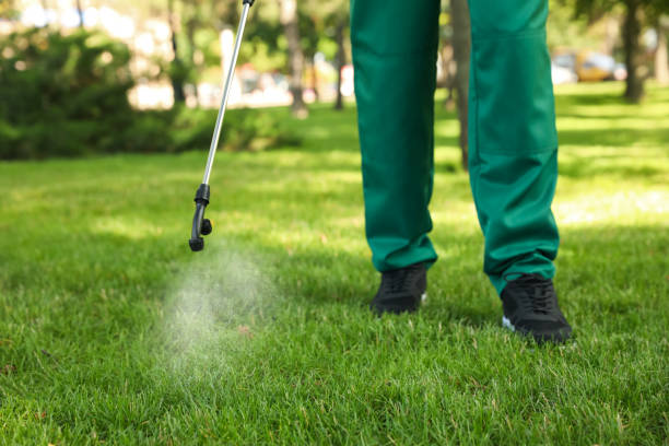 Best Pest Control Near Me in Fairmount, NY