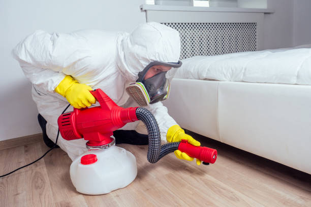 Best Local Pest Control Services  in Fairmount, NY